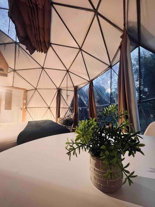 Magia Ecolodges, Glamping Punta Colorada Bagian luar foto